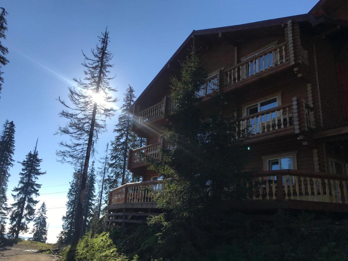Alpin Eco Chalet & Wellness Drahobrat Exterior foto